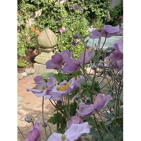 On The Trave Comfortable Lubeka